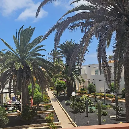 New Alisios Playa Corralejo